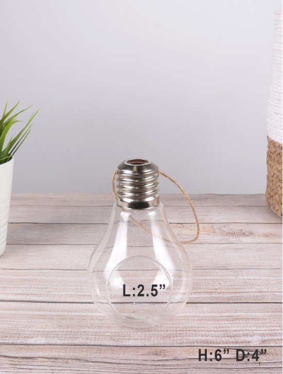 Light Bulb Micro Landscape Glass Vase